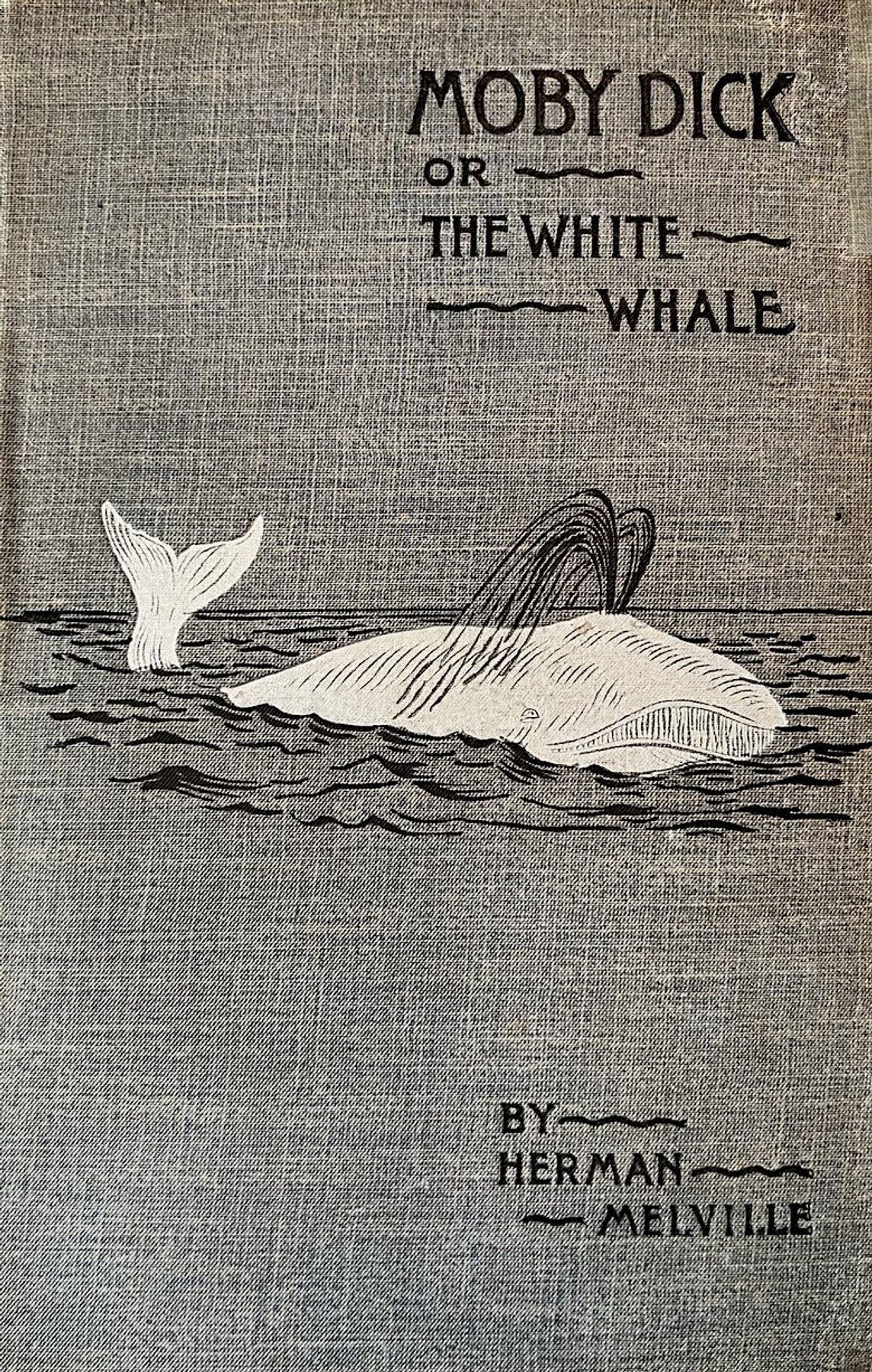 Cover of Moby Dick